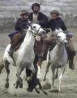 Buzkashi u Kabulu